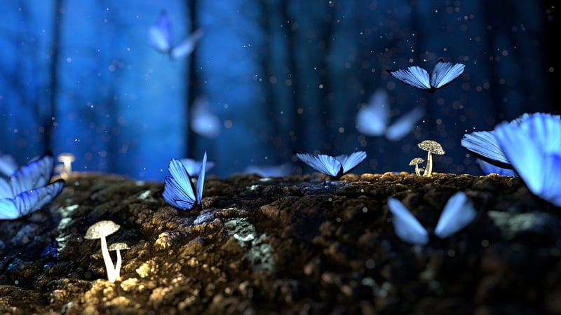 Enchanted Garden Design