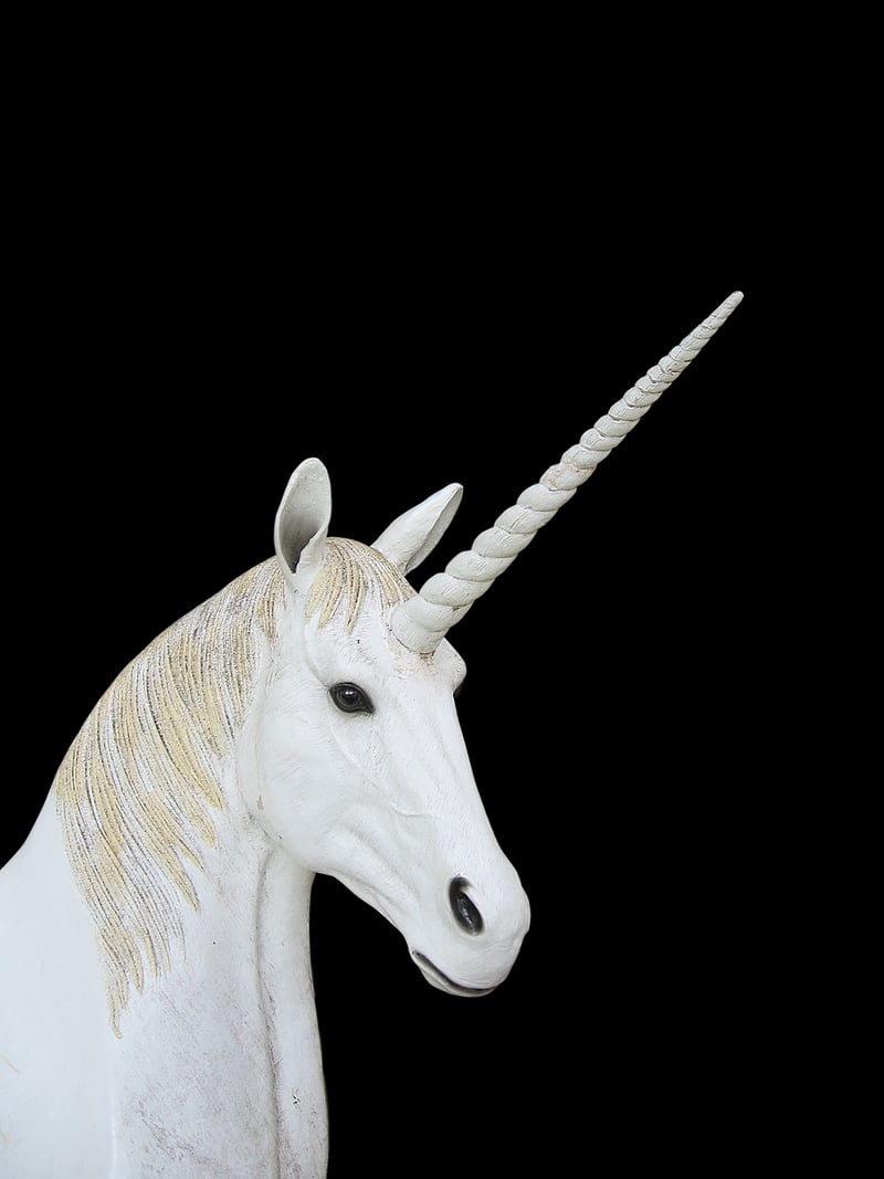 Unicorn Details